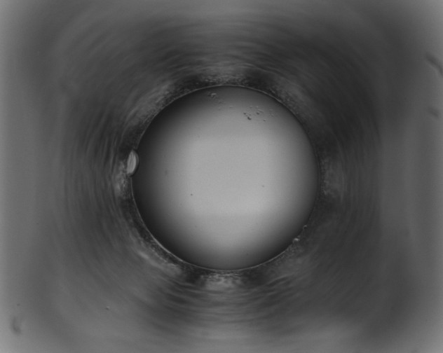 X0000101990077200807181157