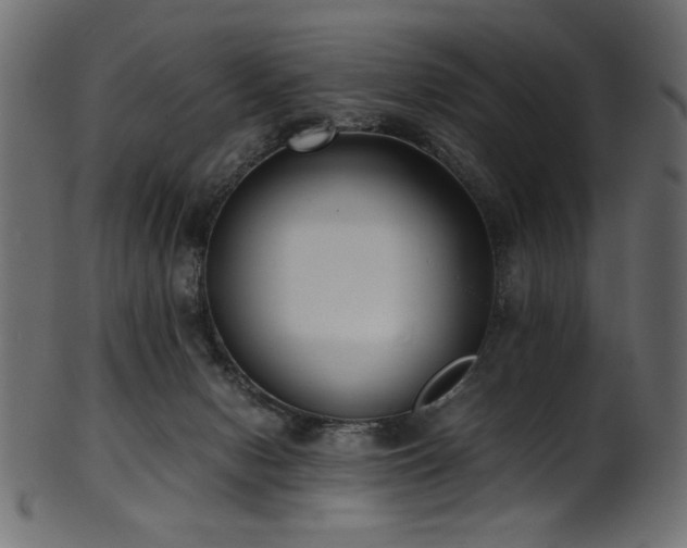 X0000101990078200807181157
