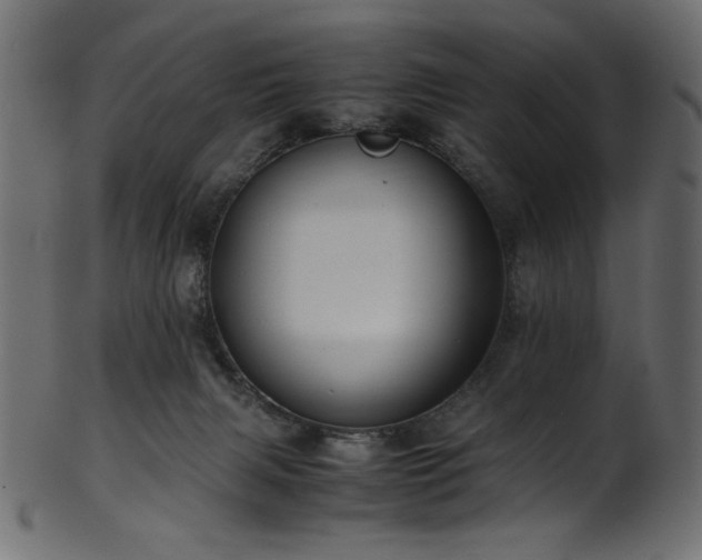 X0000101990079200807181157
