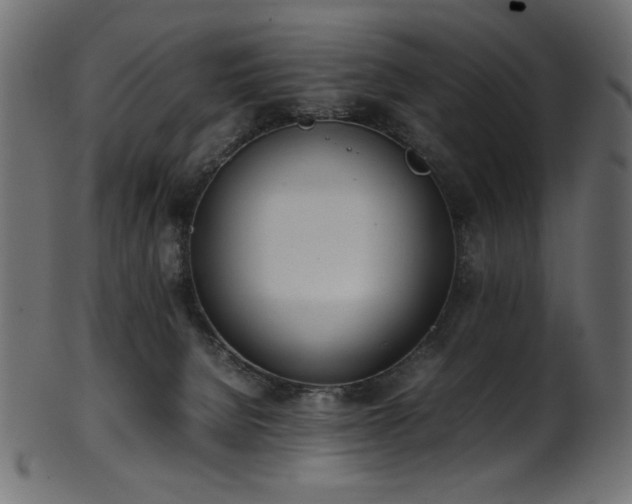 X0000101990080200807181157