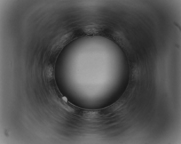 X0000101990081200807181157