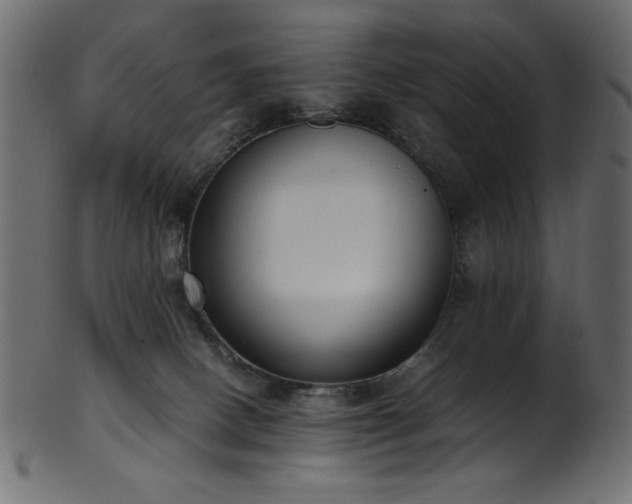 X0000101990082200807181157
