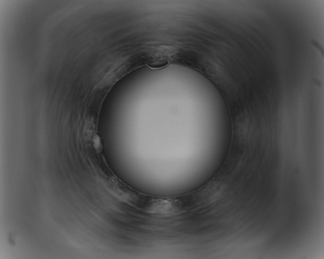 X0000101990083200807181157