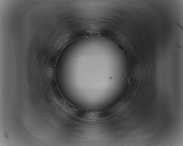 X0000101990084200807181157