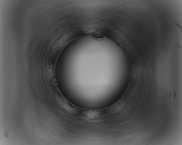 X0000101990085200807181157