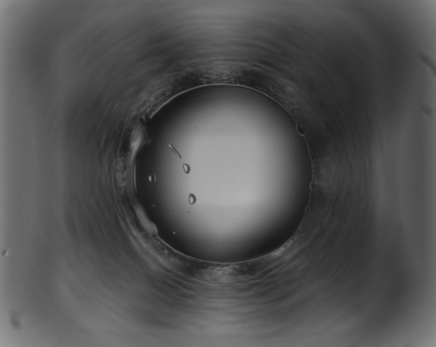 X0000101990086200807181157
