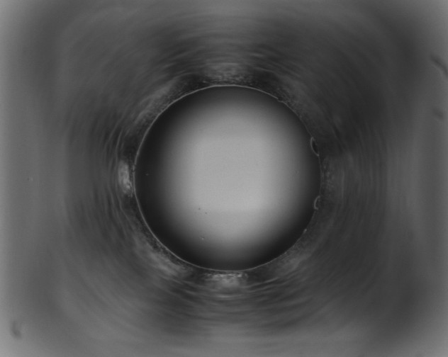 X0000101990089200807181157