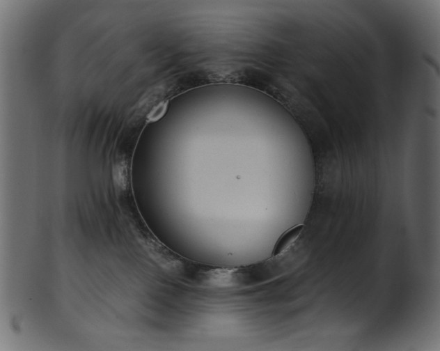 X0000101990090200807181157