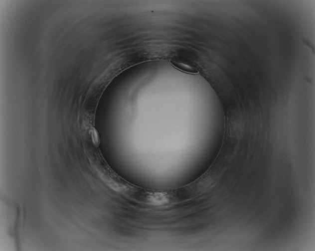 X0000101990091200807181157