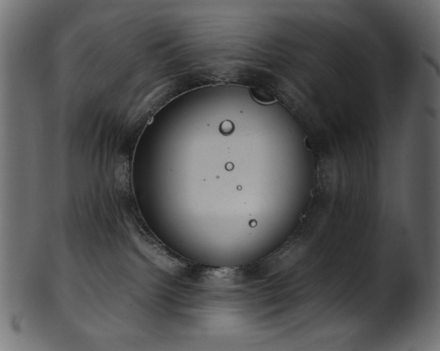 X0000101990092200807181157