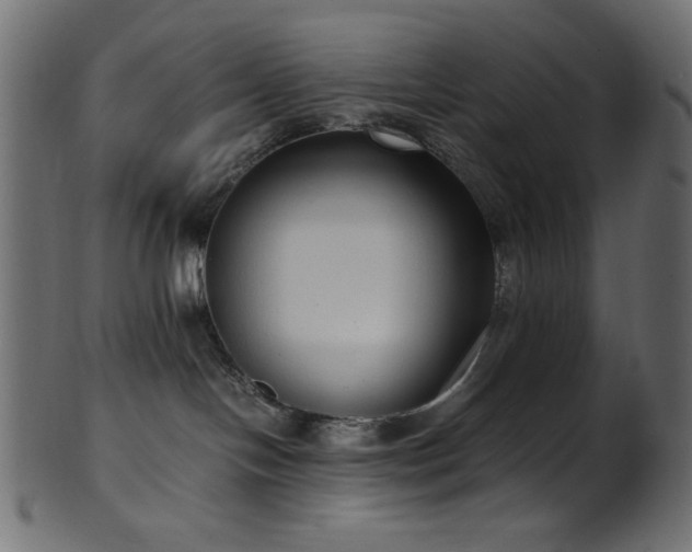 X0000101990094200807181157