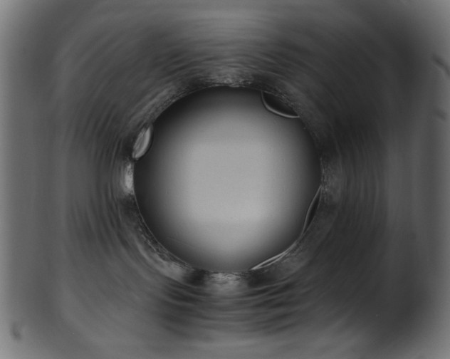 X0000101990095200807181157