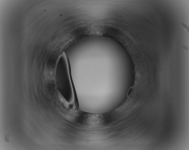X0000101990096200807181157