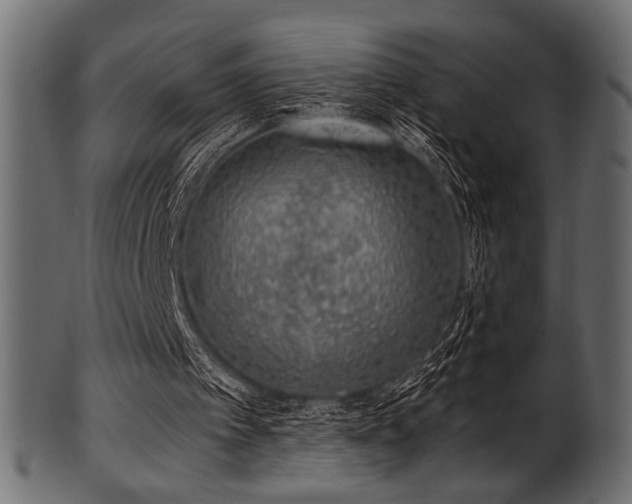 X0000101990097200807181157