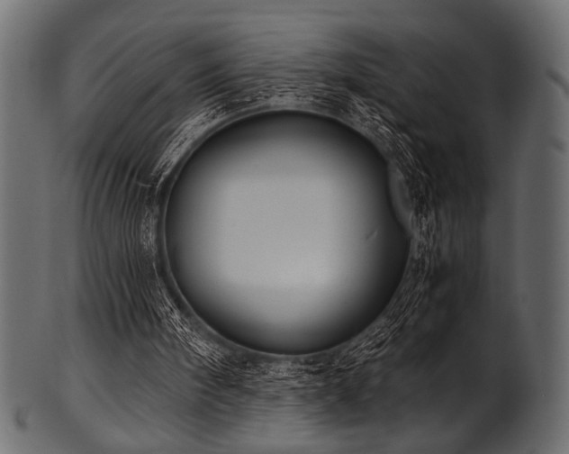 X0000101990098200807181157