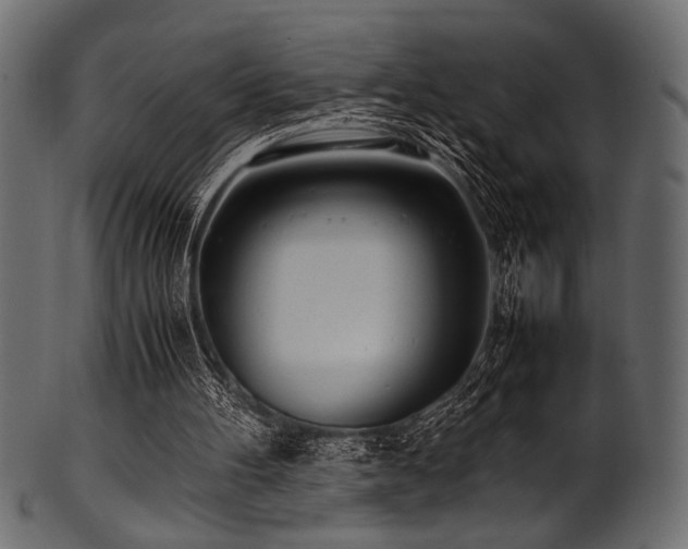 X0000101990100200807181157