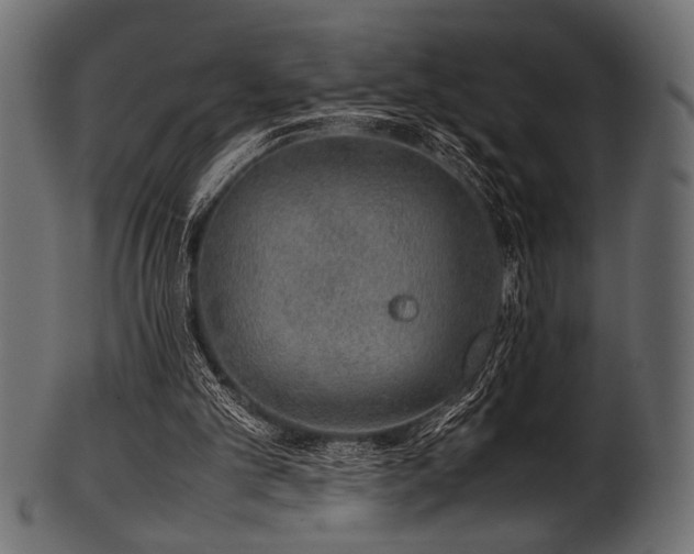 X0000101990101200807181157