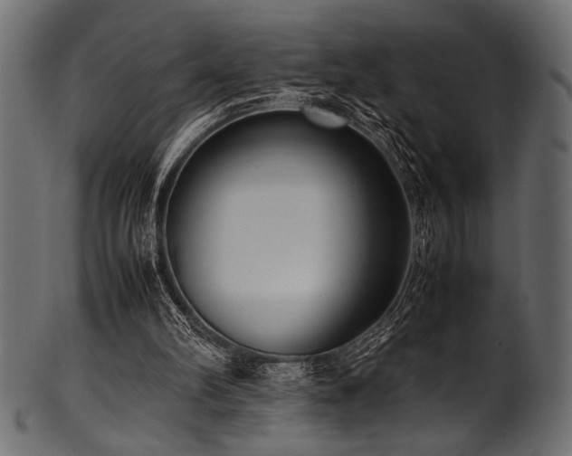 X0000101990102200807181157