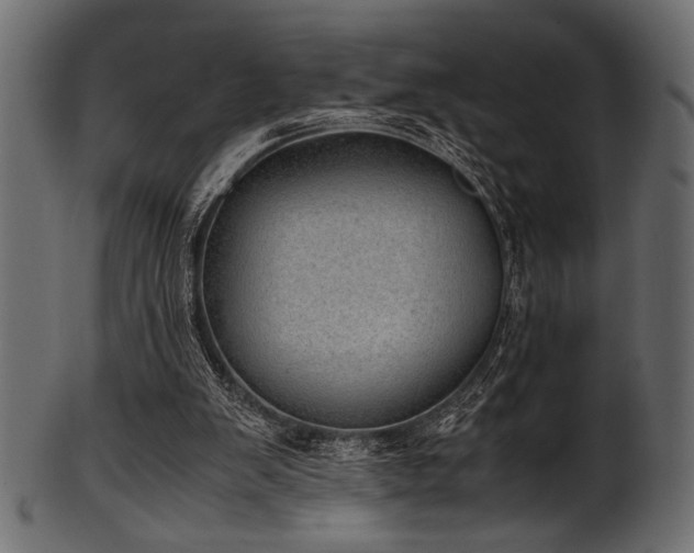 X0000101990103200807181157