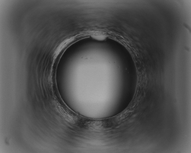 X0000101990104200807181157