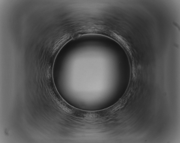 X0000101990105200807181157