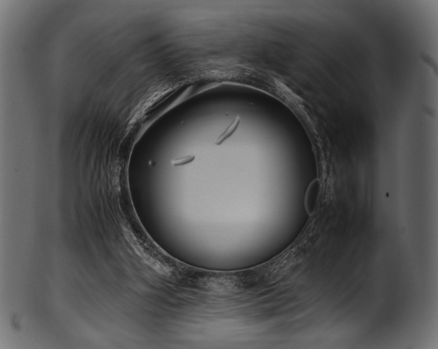 X0000101990106200807181157