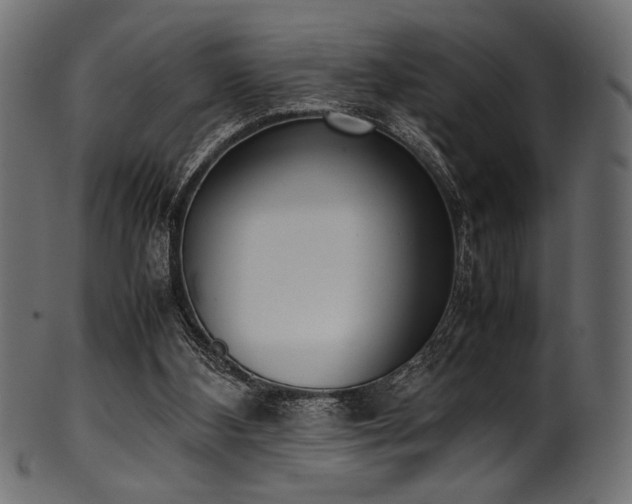 X0000101990108200807181157