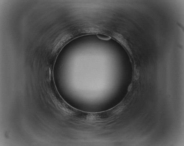X0000101990109200807181157