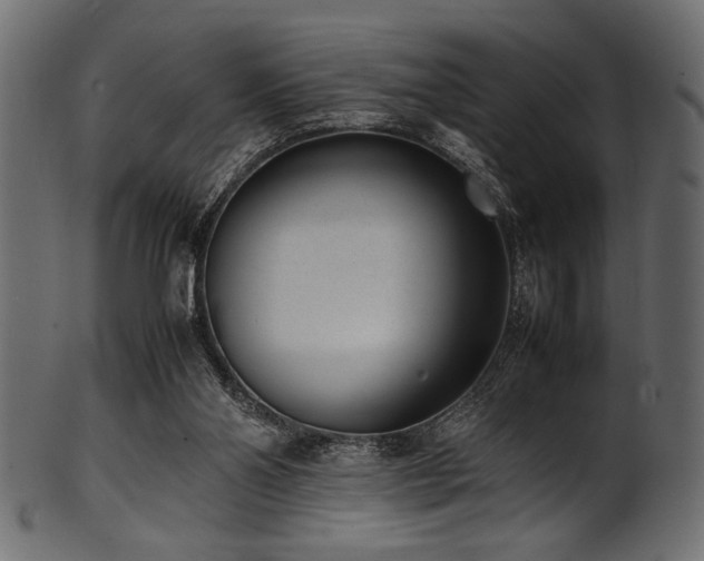 X0000101990110200807181157