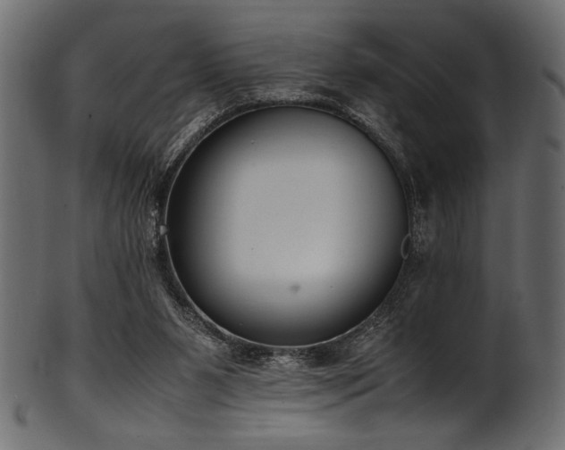 X0000101990111200807181157