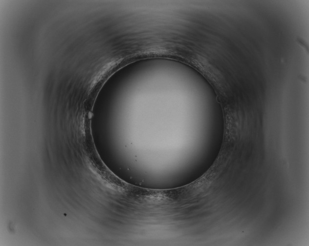 X0000101990112200807181157