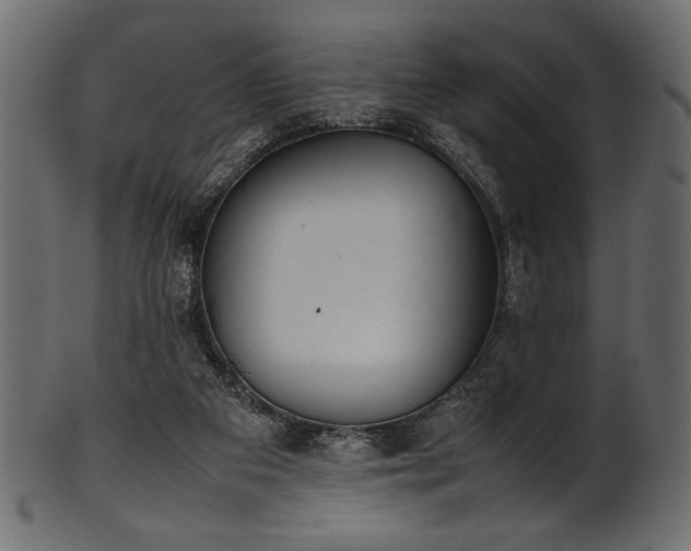 X0000101990113200807181156