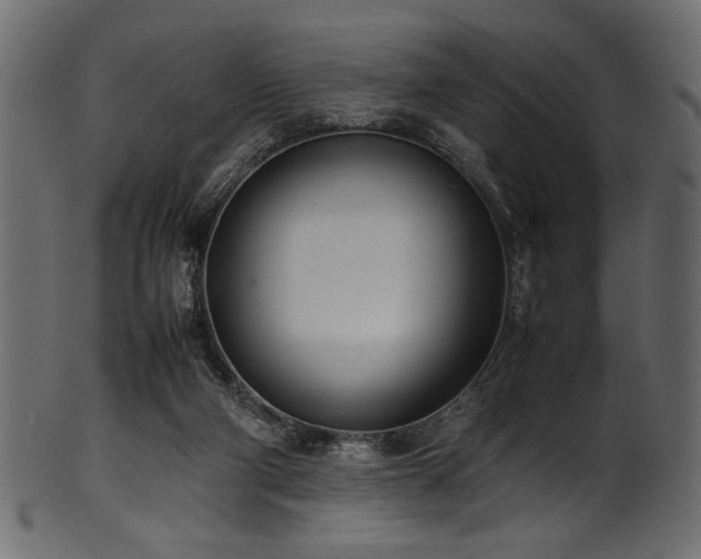 X0000101990114200807181156