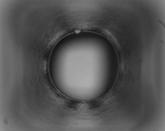 X0000101990115200807181156