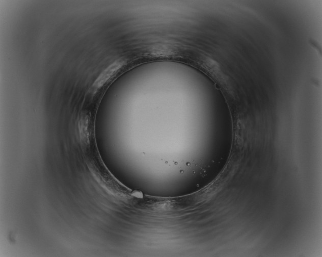 X0000101990116200807181156