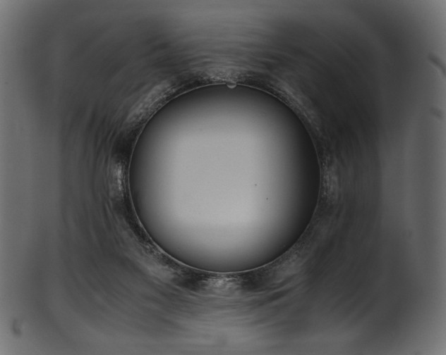 X0000101990117200807181156