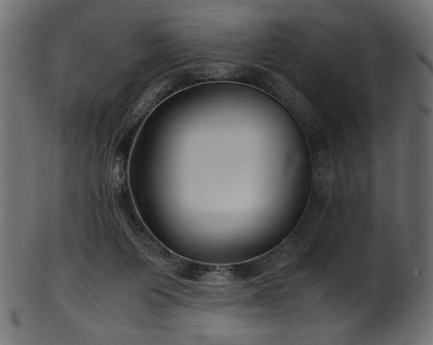 X0000101990119200807181156