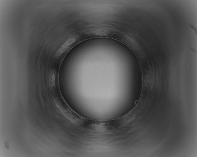 X0000101990120200807181156