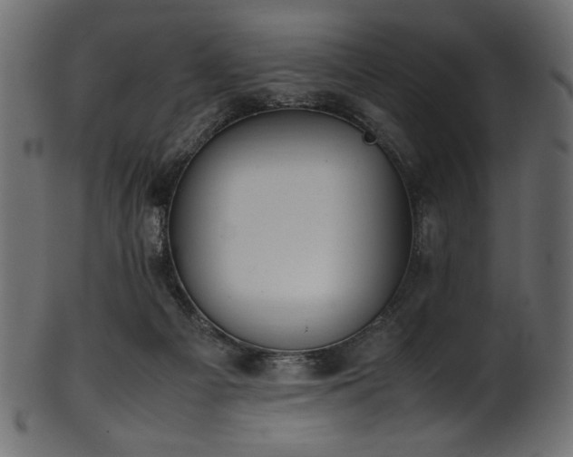 X0000101990121200807181156