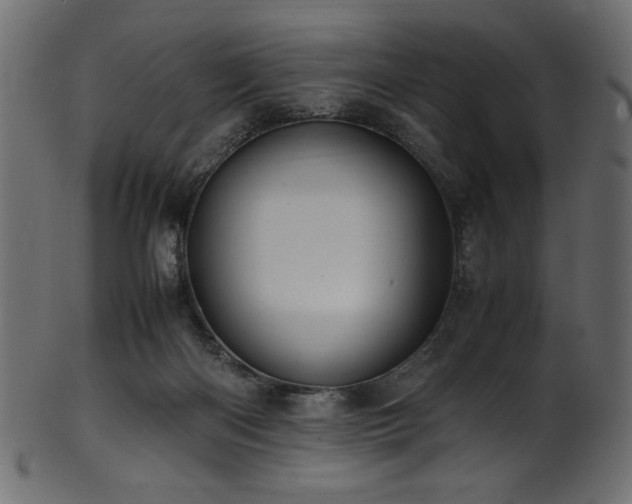 X0000101990122200807181156
