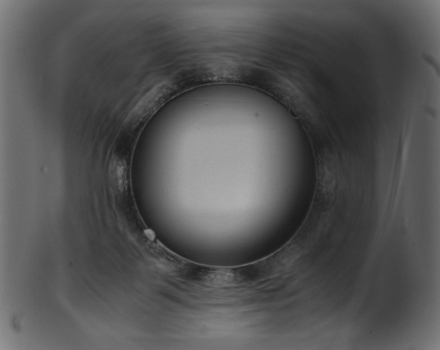 X0000101990123200807181156