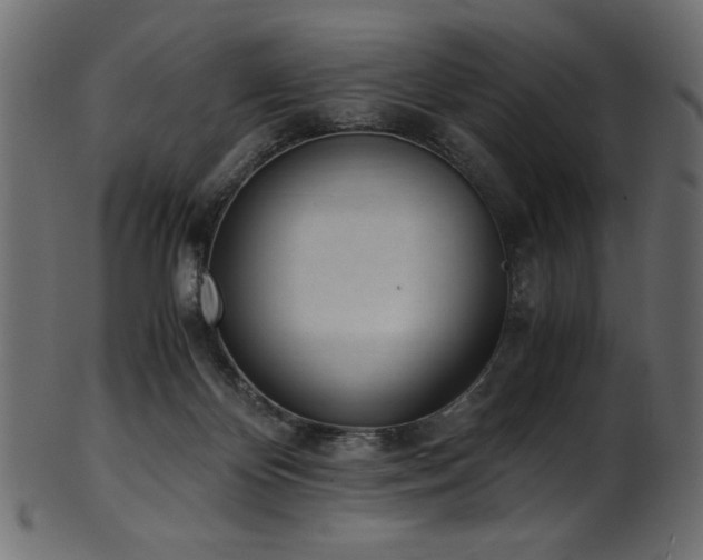 X0000101990124200807181156
