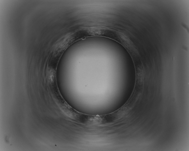 X0000101990125200807181156