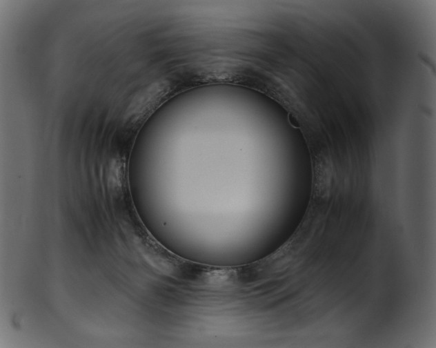 X0000101990126200807181156