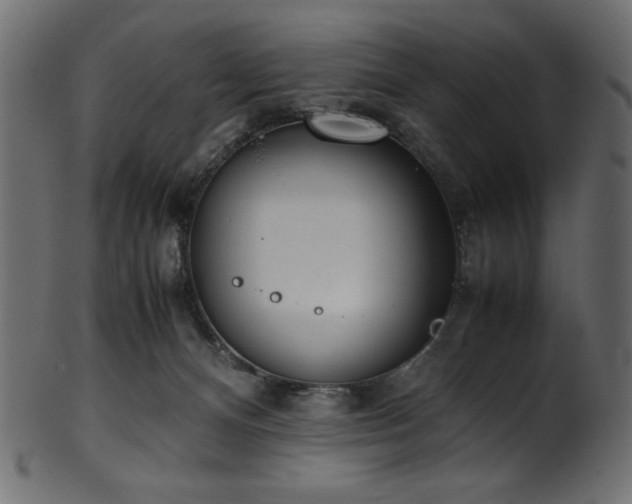 X0000101990128200807181156