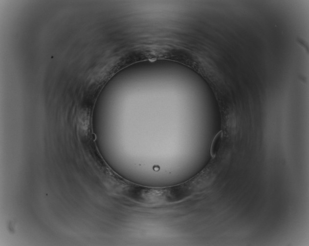 X0000101990129200807181156