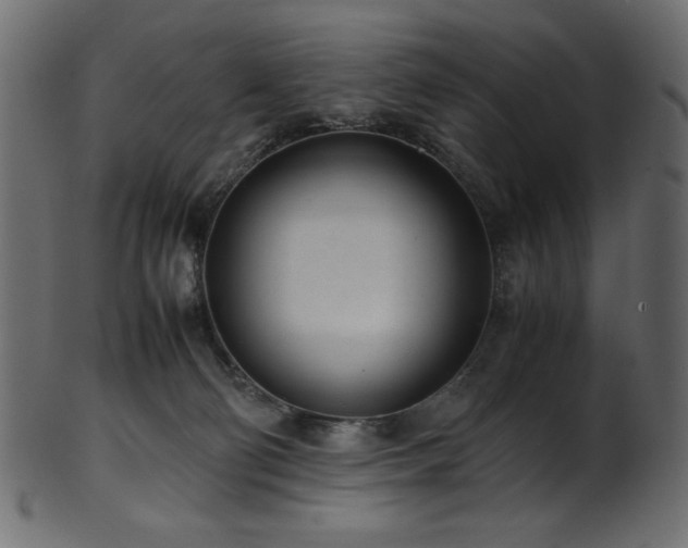 X0000101990130200807181156