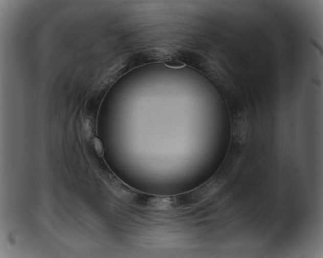 X0000101990131200807181156