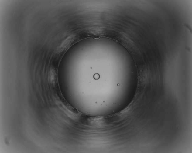 X0000101990132200807181156