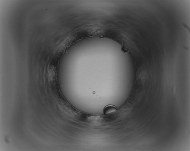 X0000101990133200807181156